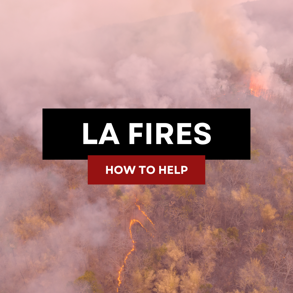 How to help those affected by the LA fires